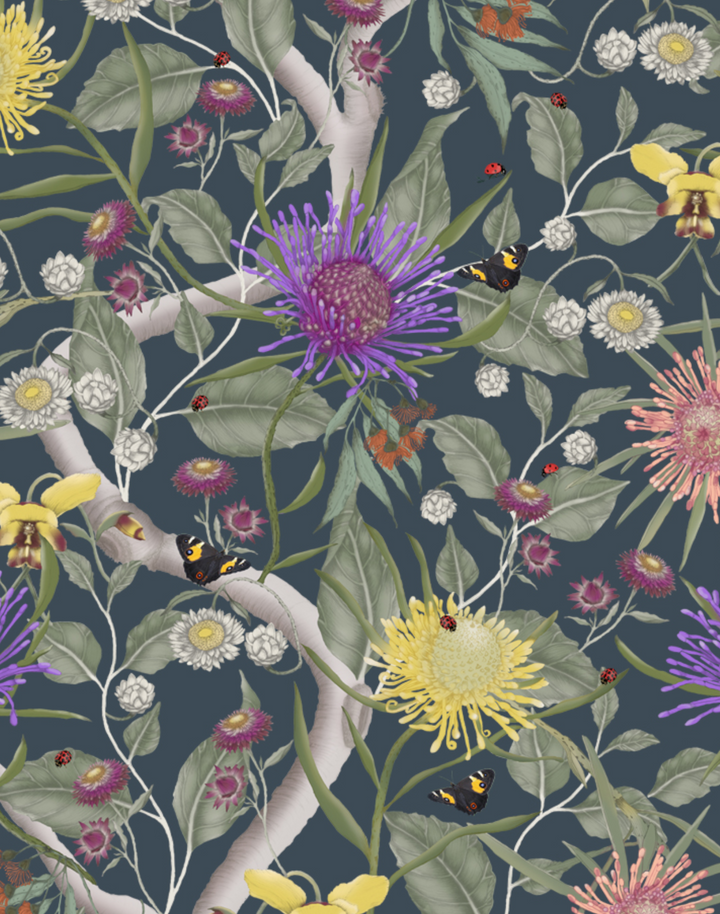 Australian Wildflowers, Blackwater
