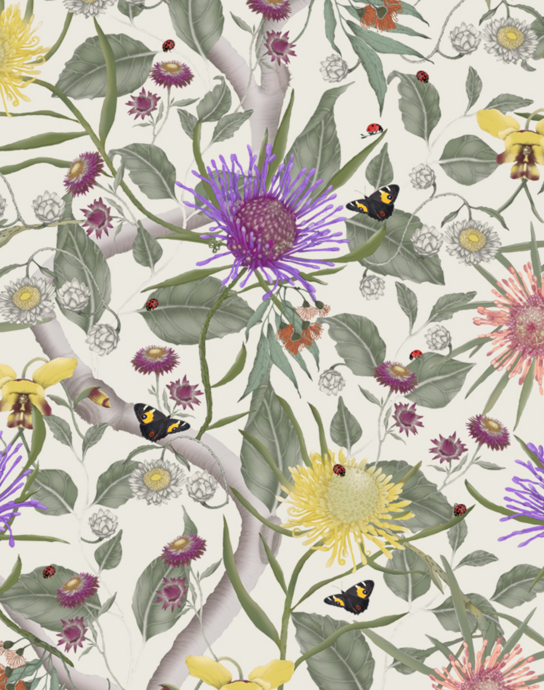 Australian Wildflowers, Whisper White