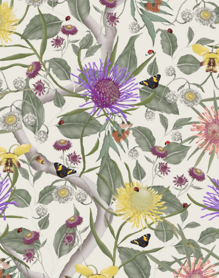 Australian Wildflowers, Whisper White