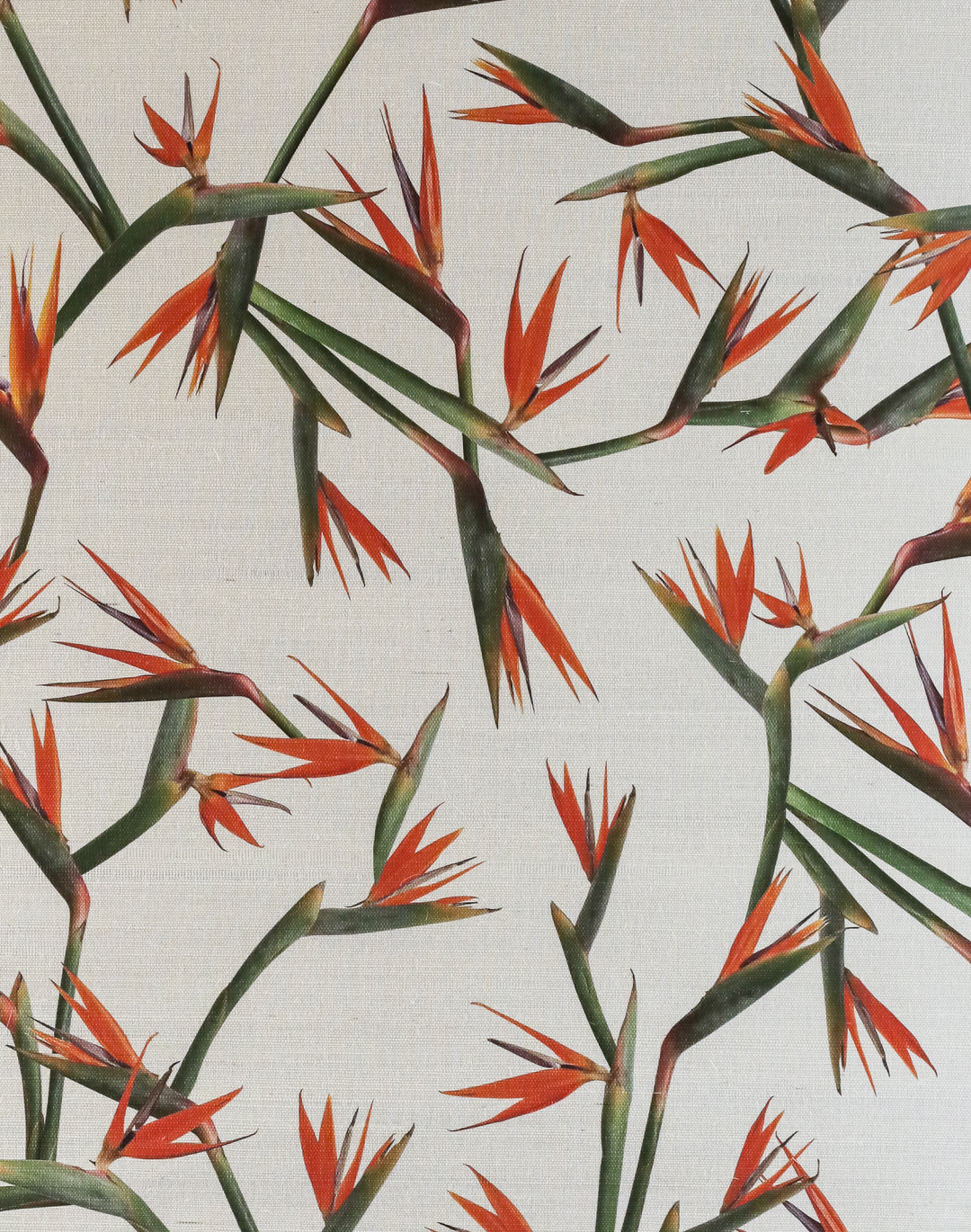 Bird of Paradise Grasscloth, Natural