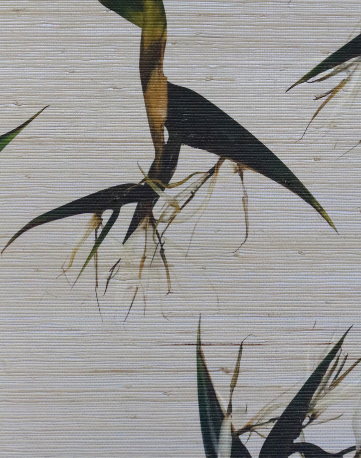 Bird of Paradise Nicolai Grasscloth, Natural