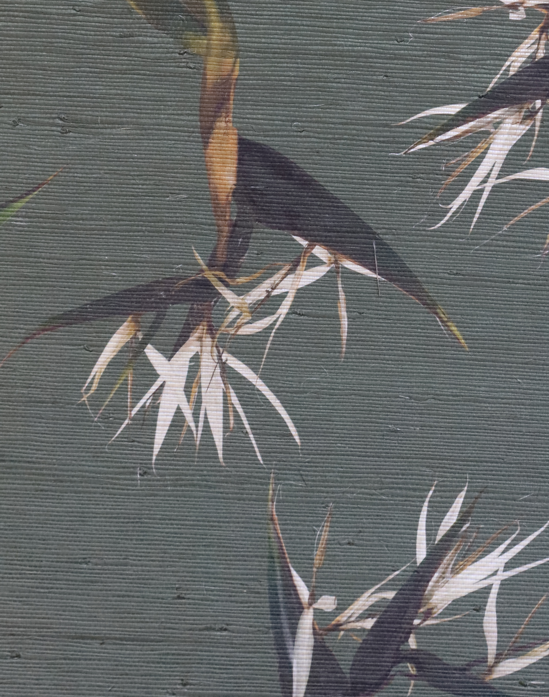 Bird of Paradise Nicolai Grasscloth, Spruce