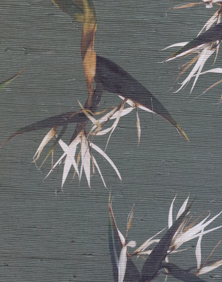 Bird of Paradise Nicolai Grasscloth, Spruce