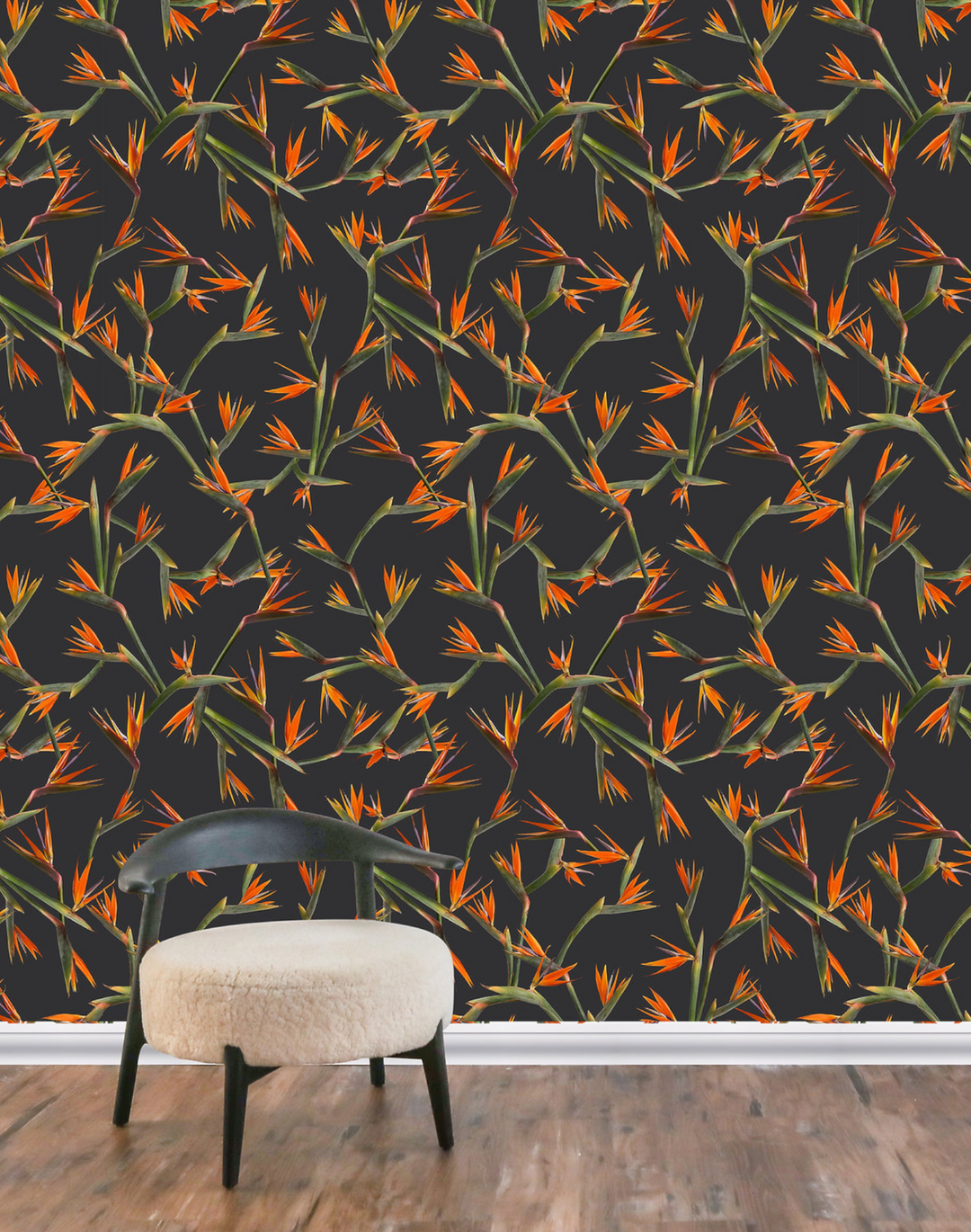Bird of Paradise, Noir