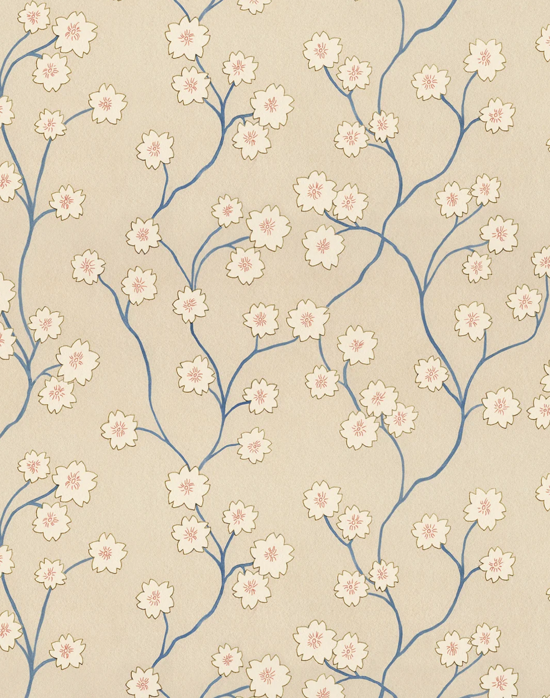 Blossom, Autumn Orchid WPLN0196