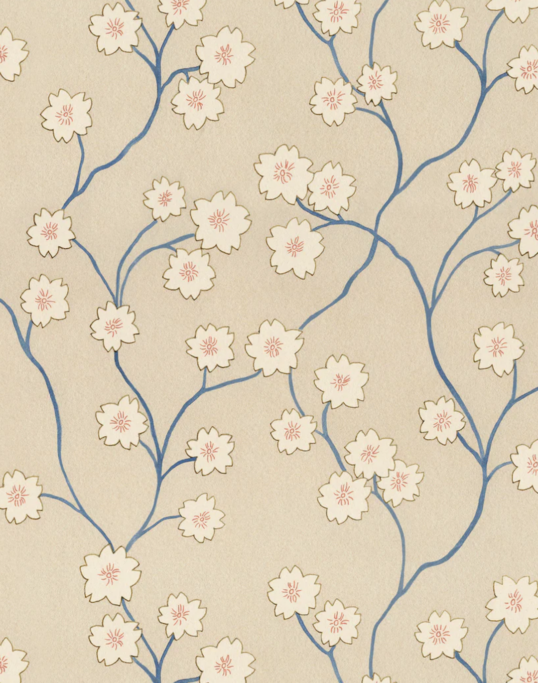 Blossom, Autumn Orchid WPLN0196