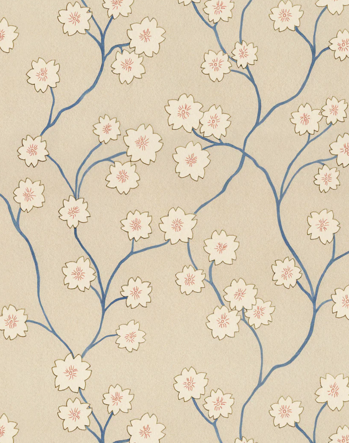 Blossom, Autumn Orchid WPLN0196