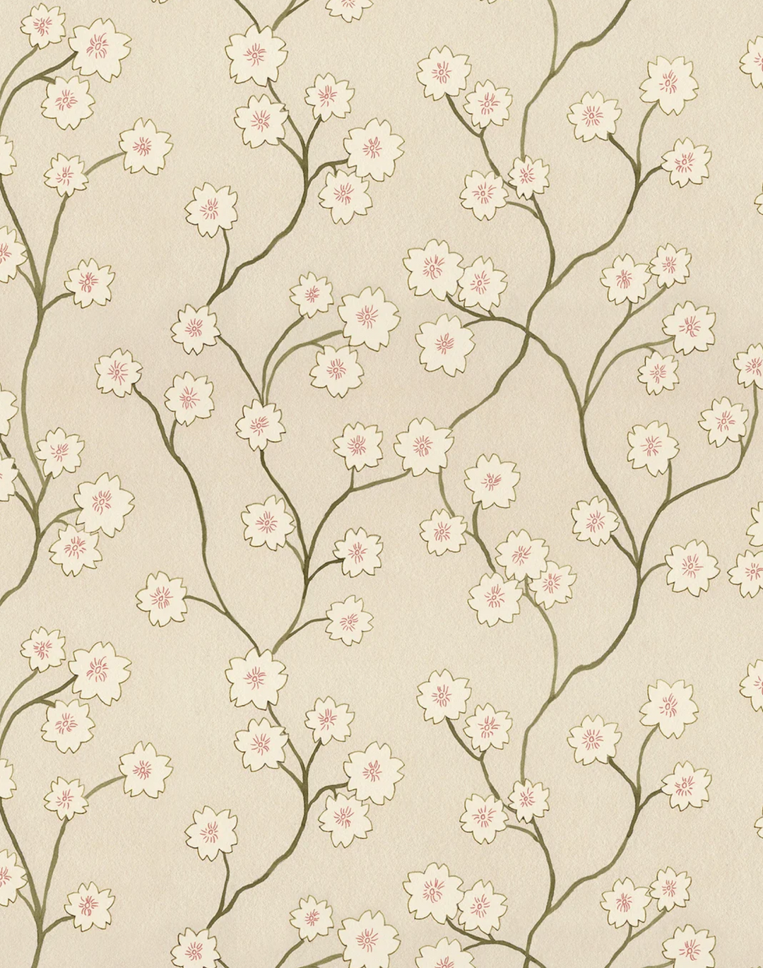 Blossom, Cinnamon WPLN0193