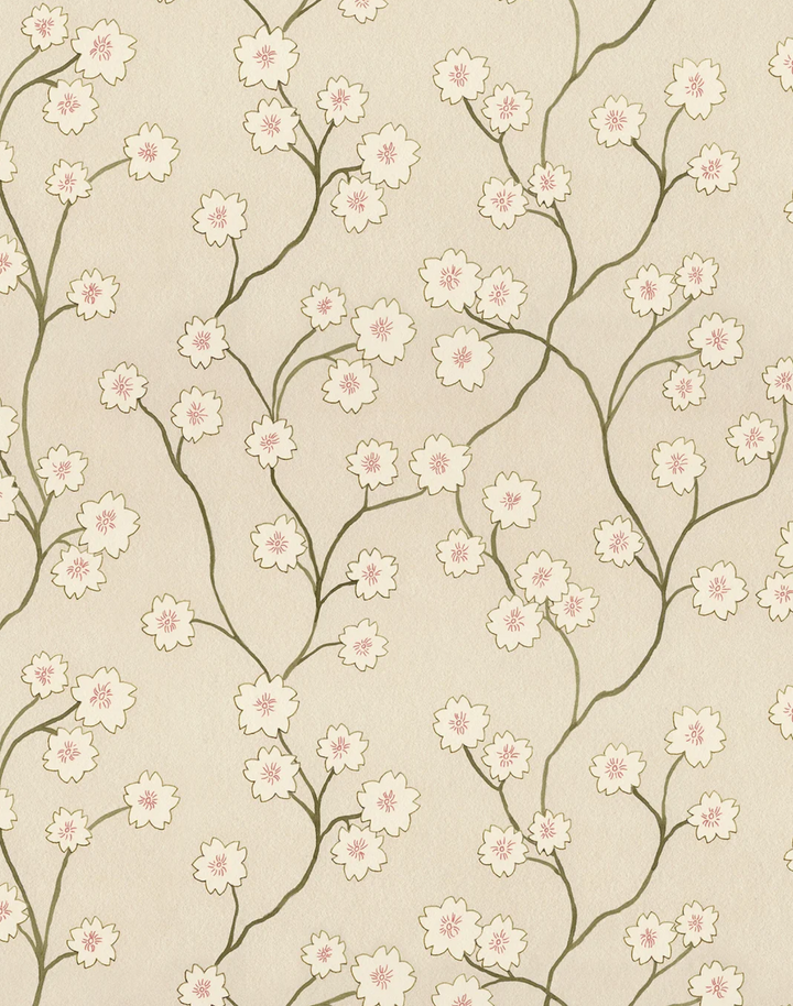 Blossom, Cinnamon WPLN0193