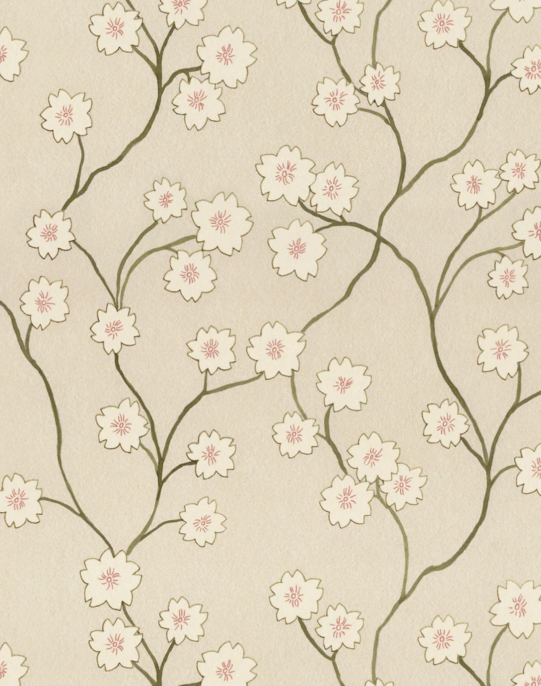 Blossom, Cinnamon WPLN0193