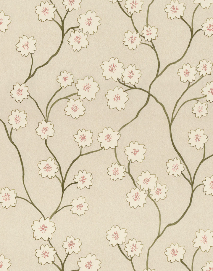 Blossom, Cinnamon WPLN0193