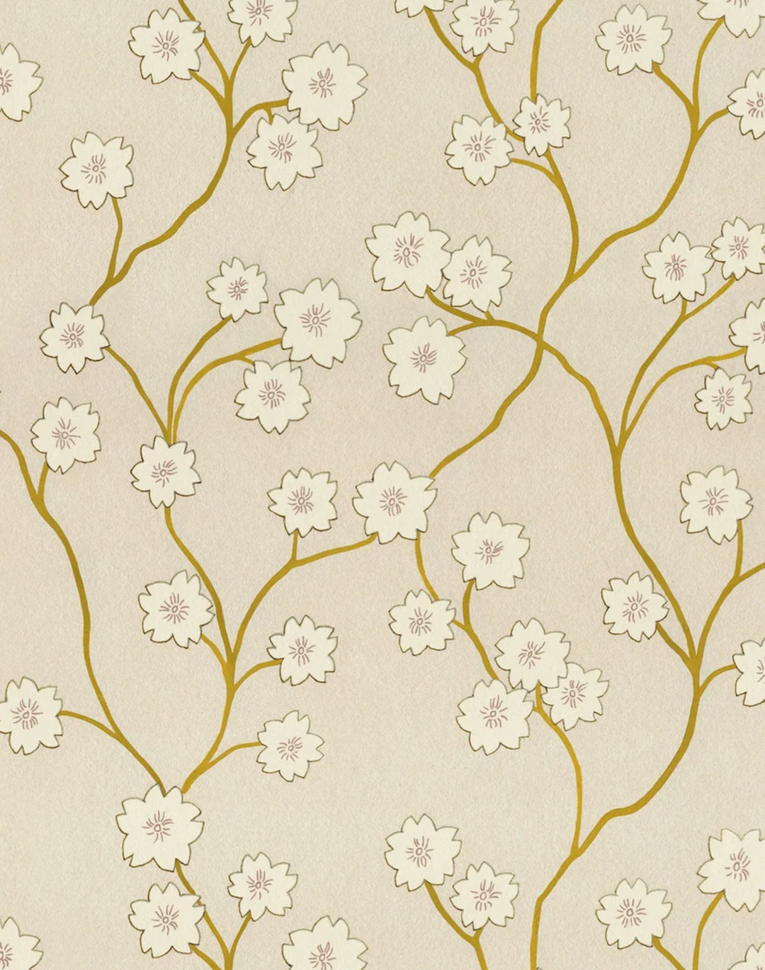 Blossom, Downing Straw WPLN0194