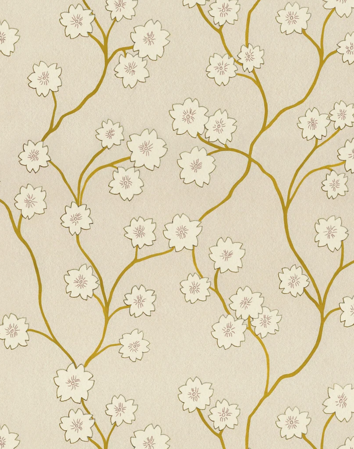 Blossom, Downing Straw WPLN0194