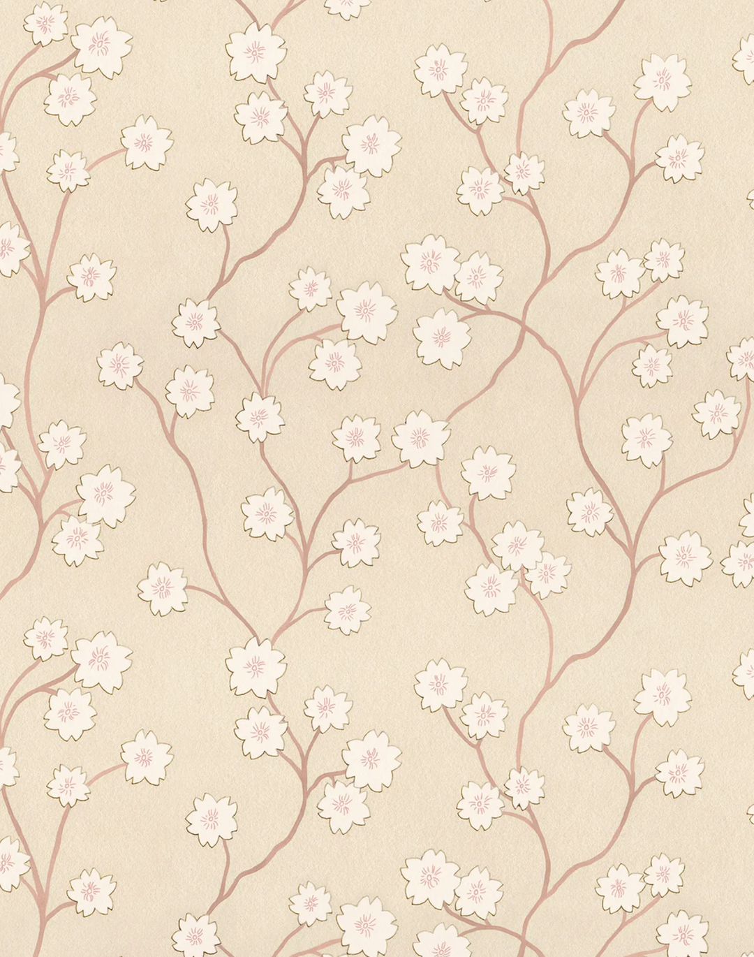 Blossom, Satin Slipper WPLN0195