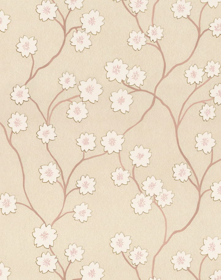 Blossom, Satin Slipper WPLN0195