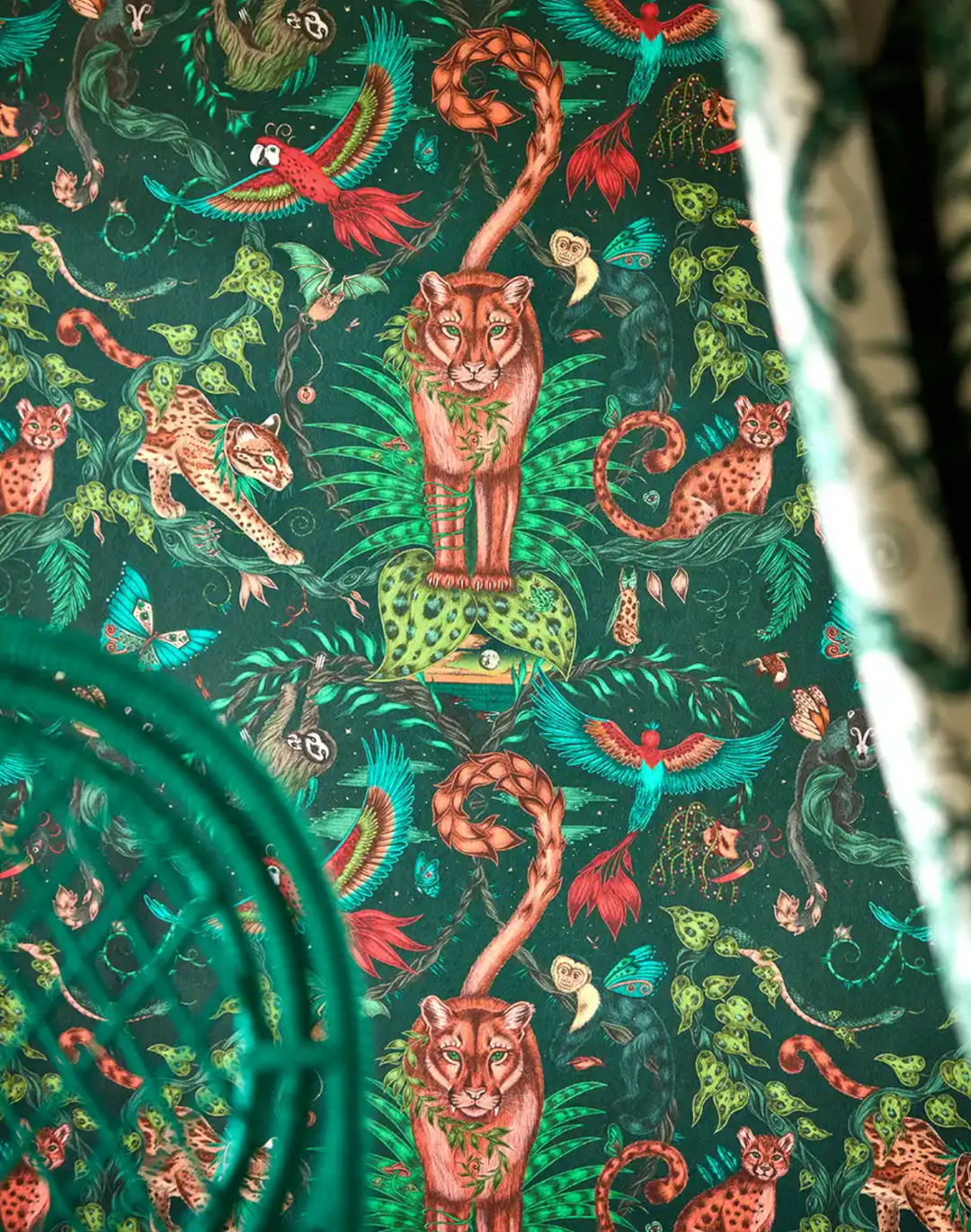 Bosque Dreams, Forest W0213-02