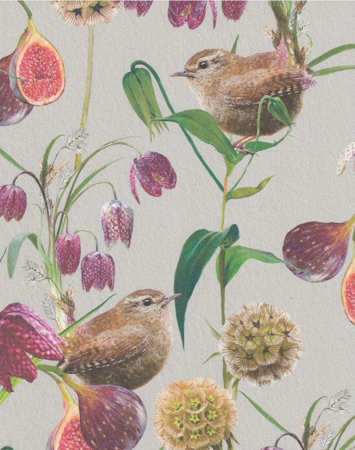 Botanical Wren, French Grey