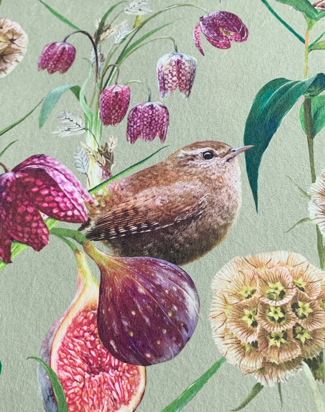 Botanical Wren, Green Mist