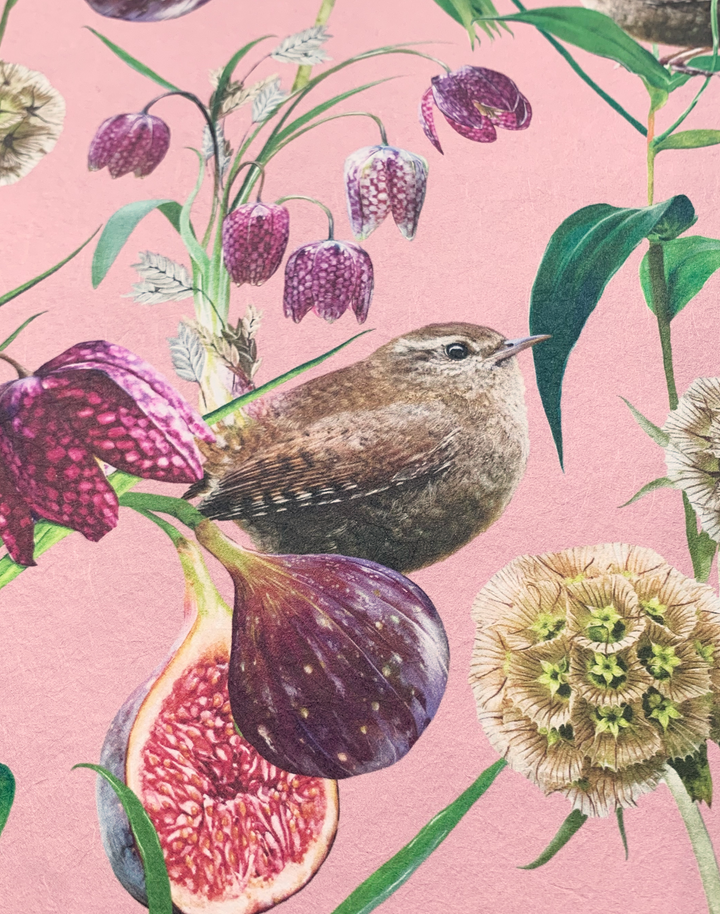 Botanical Wren, Pink Rose