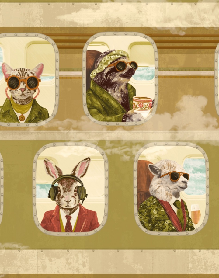 Cabin Class, Premium Pistachio