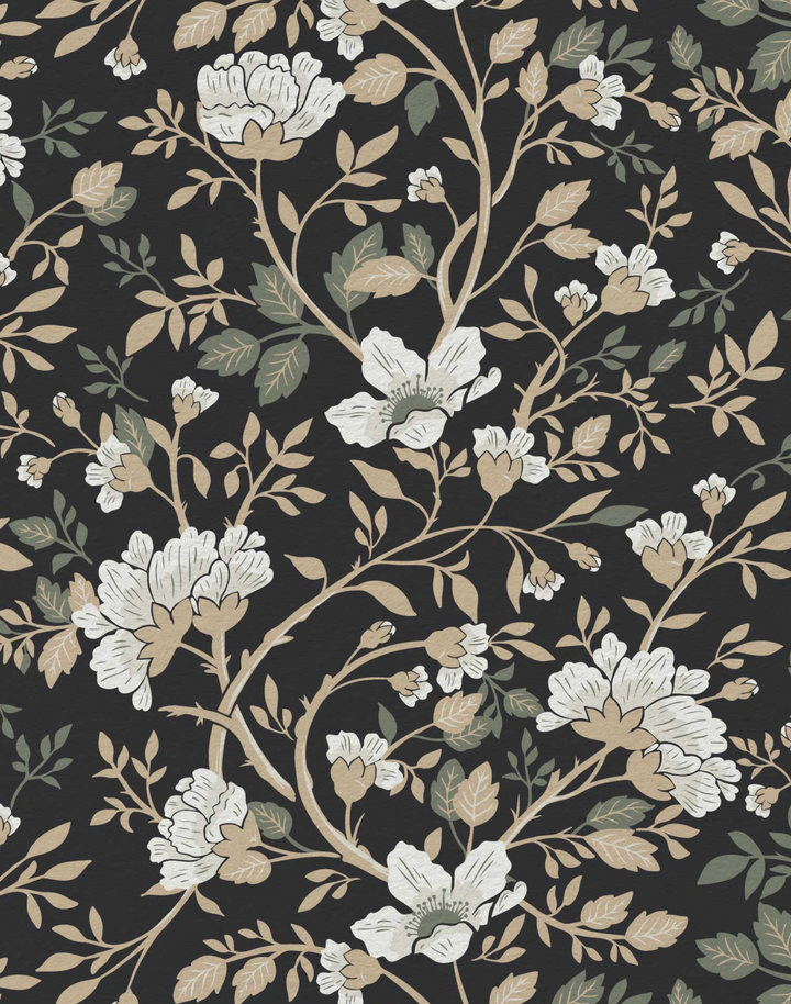 Camelia Study, Midnight Rose