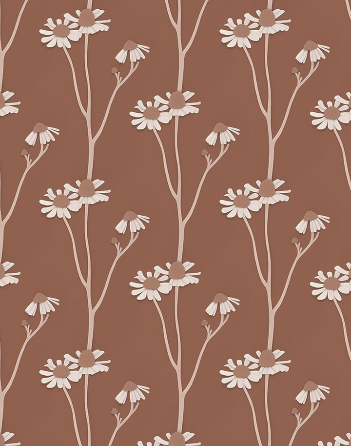 Chamomile, Brown