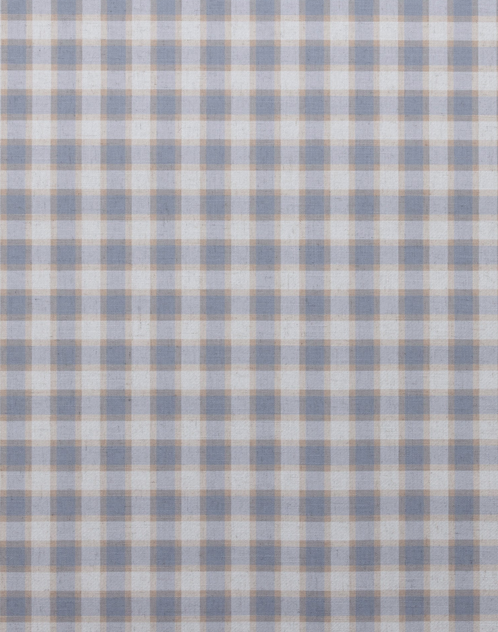 Check Plaid, Denim