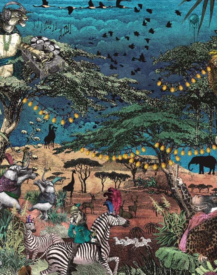 CLUB SAFARI, LAGOON