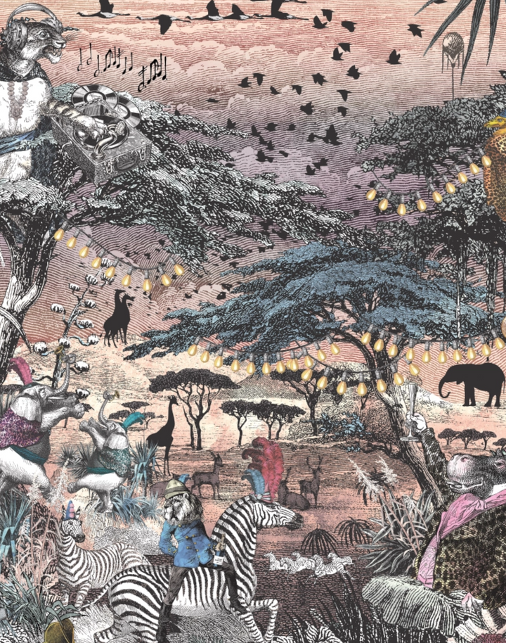 CLUB SAFARI, MIST
