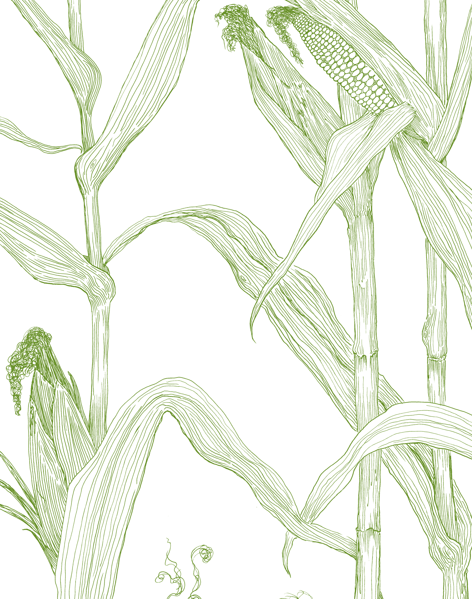 Corn Rows, Summer Green – The Pattern Collective