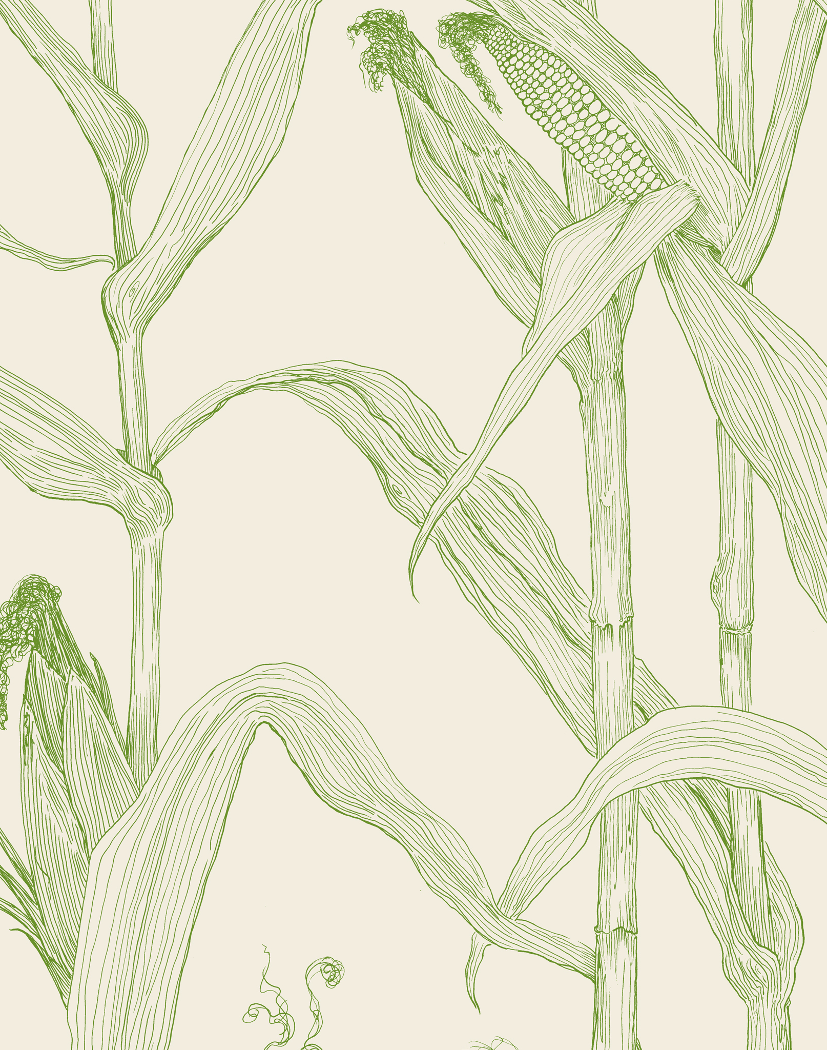 Corn Rows, Summer Green on Cream – The Pattern Collective