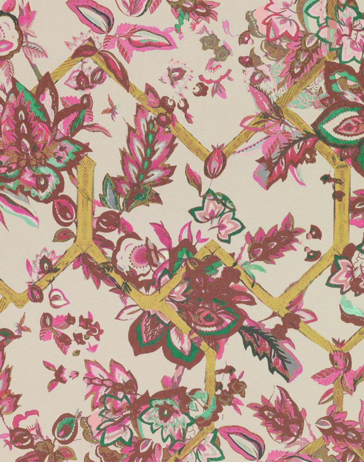 Creeping Trellis, Rose Saffron