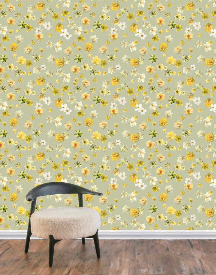 Daffodil, Apple Green