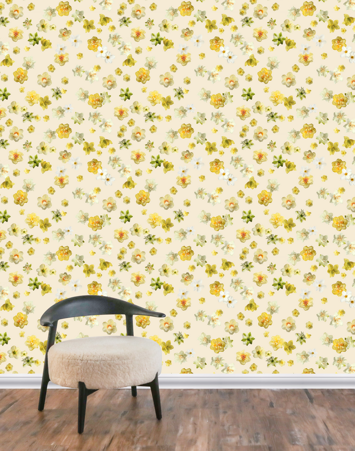 Daffodil, Golden