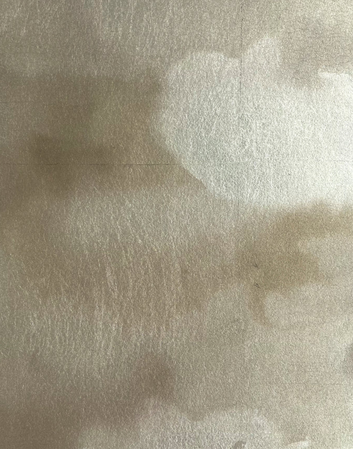 Dispersion, Champagne Metallic