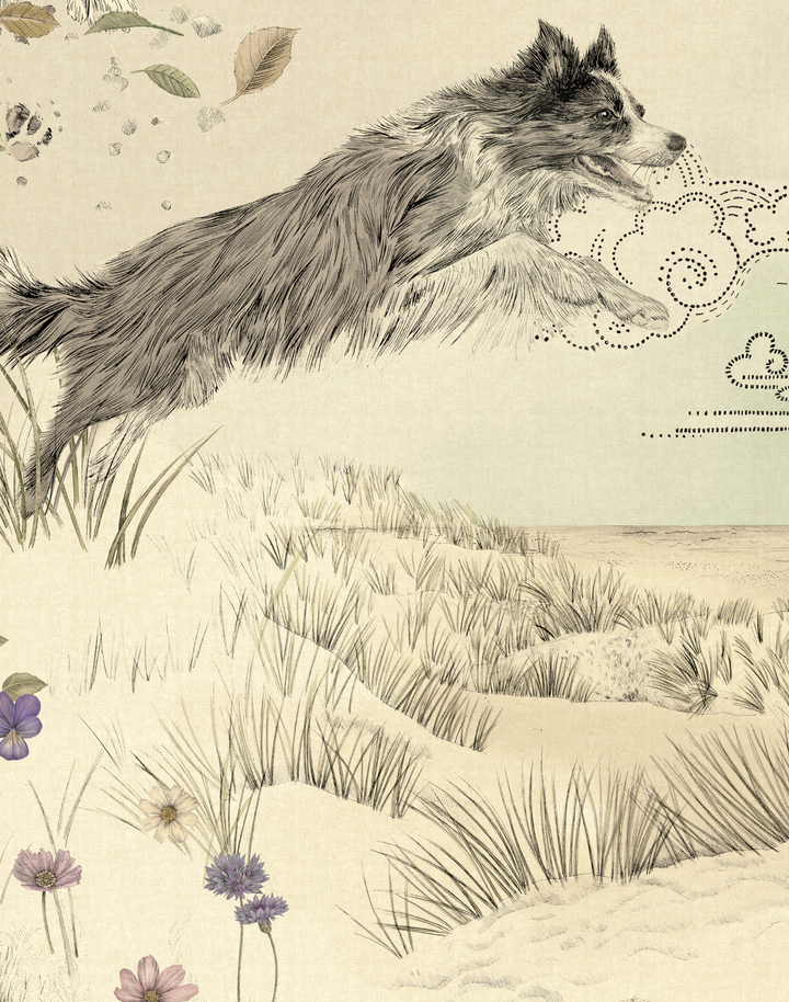 Dog Tales, Storybook