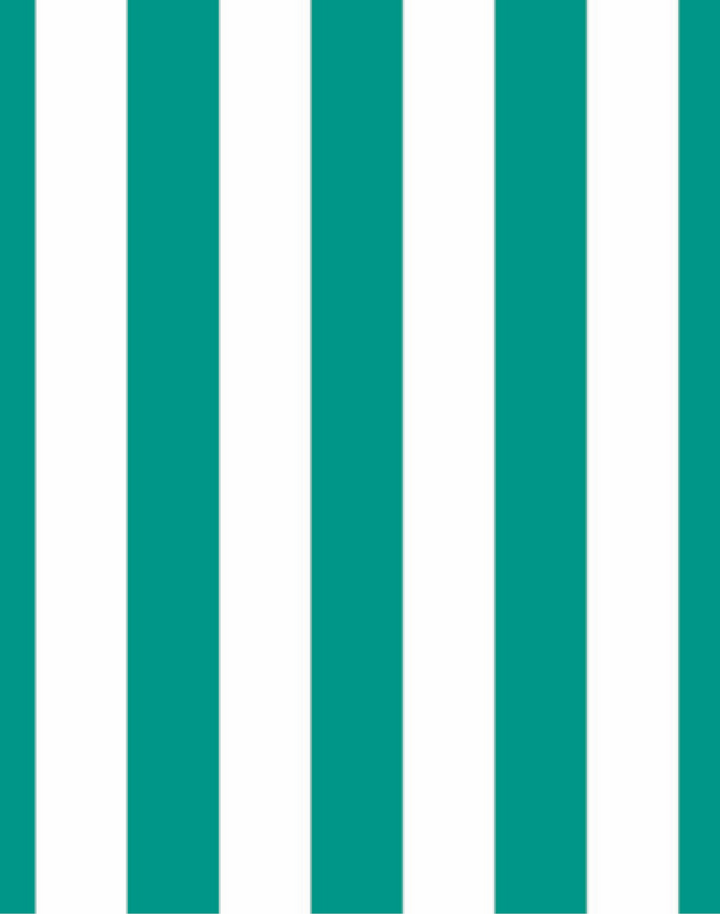 Earn Your Stripes, Jade and White