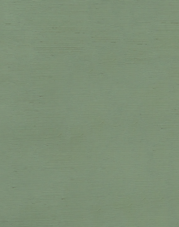 Earthy Grass Grasscloth WPLC0634