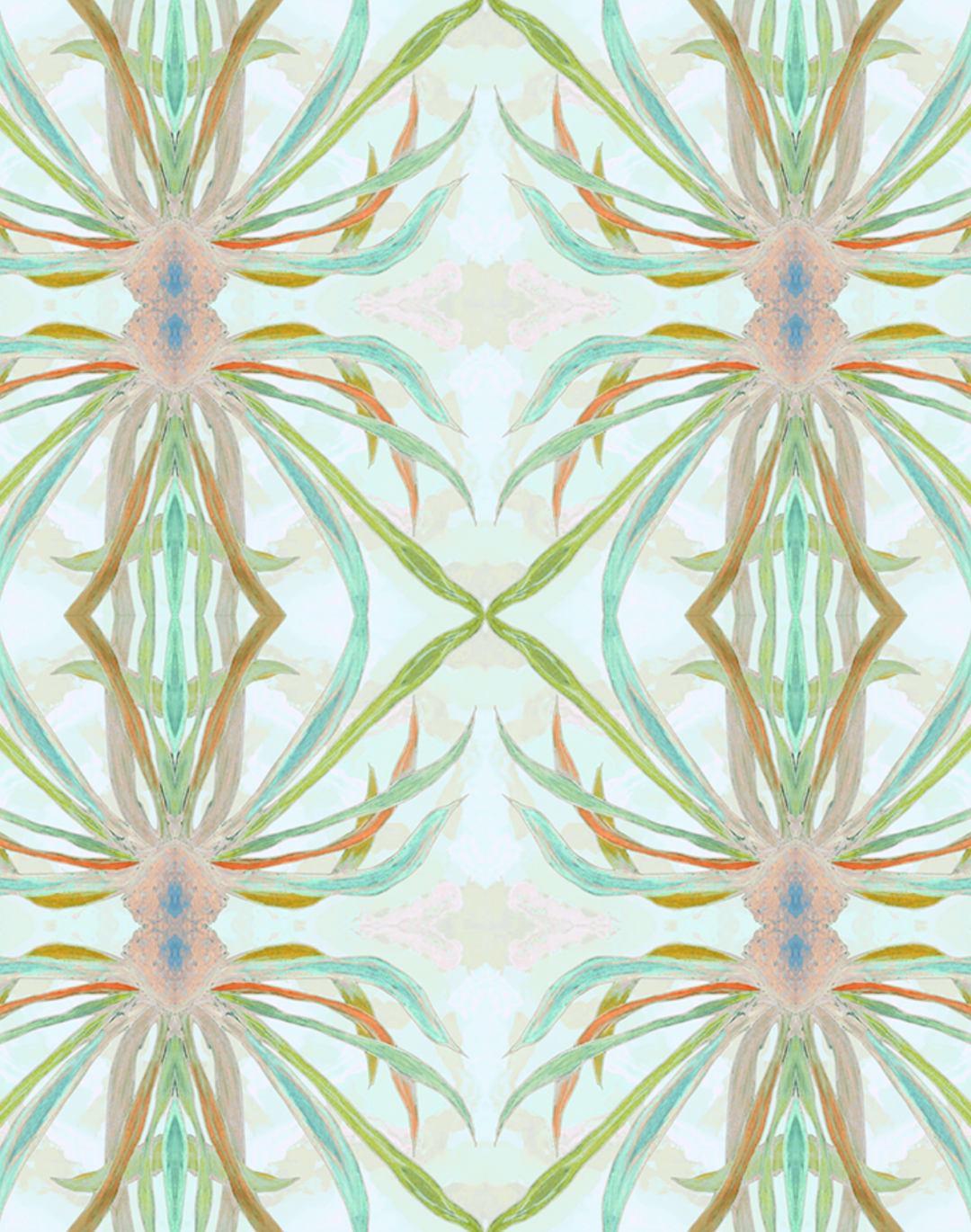Echinacea Steel Blue