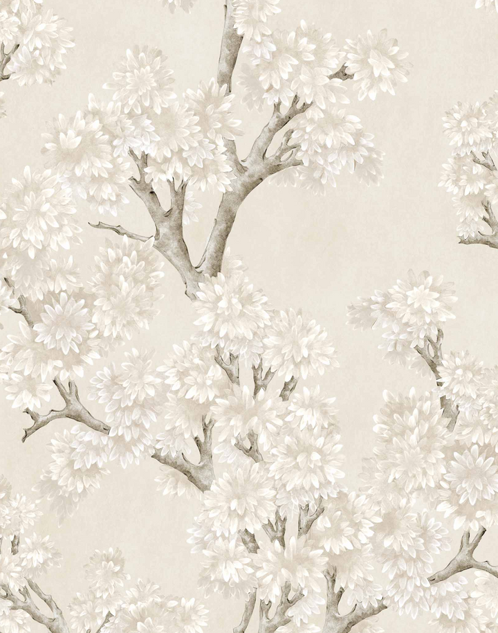 Field Maple, Bone YSP0504