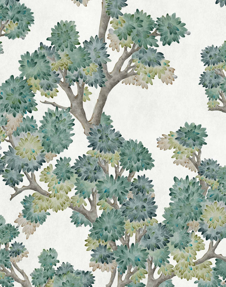 Field Maple, Mint YSP0501
