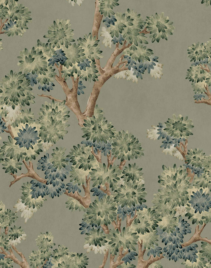 Field Maple, Sage YSP0500
