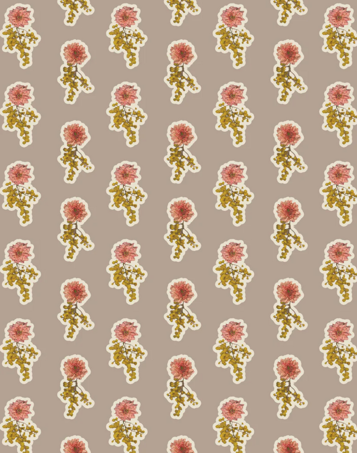 Fiorina, Taupe
