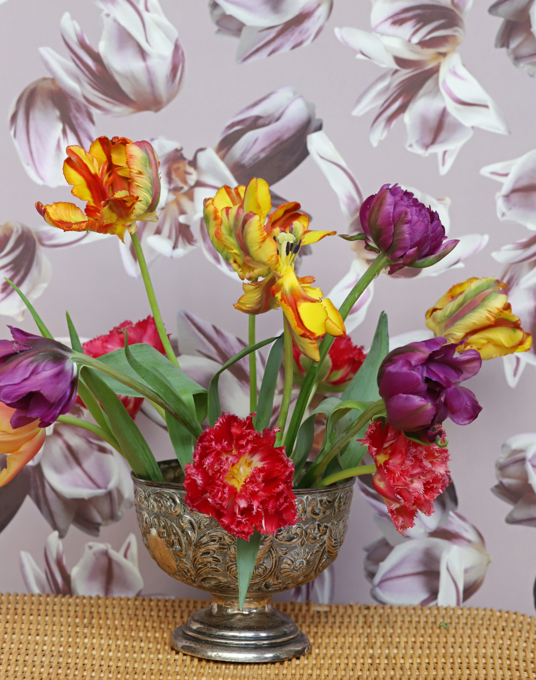 Flaming Tulip, Fig