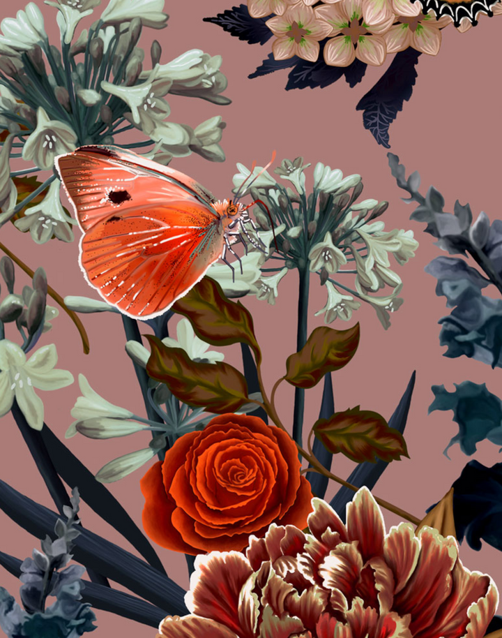 Flowerbed, Clara