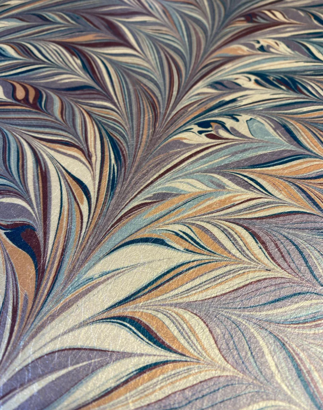 Foxtail, Woodstock