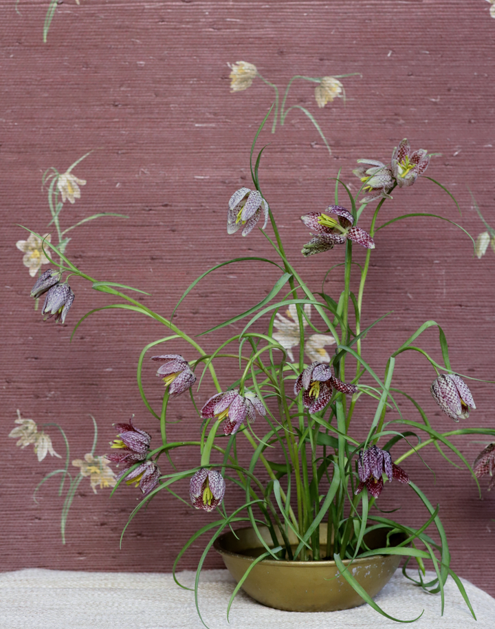 Fritillaria Grasscloth, Oxblood