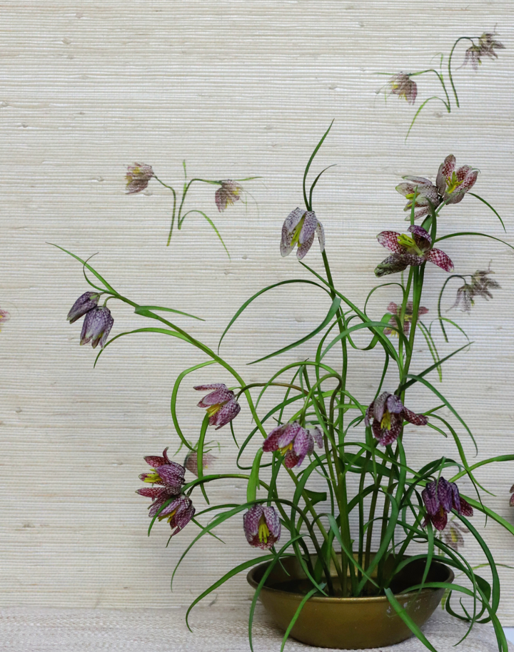 Fritillaria Grasscloth, Sand