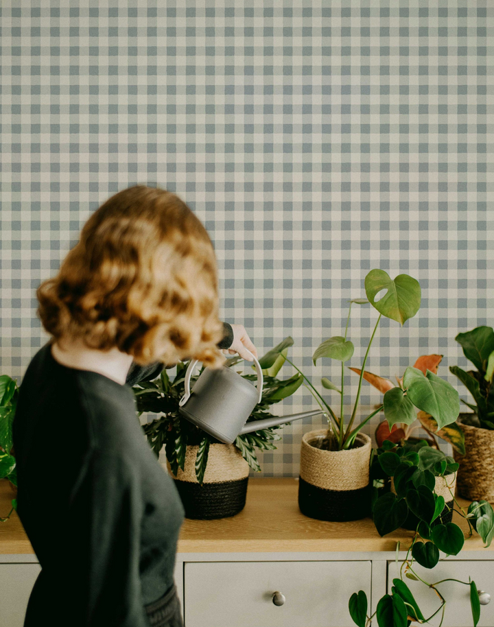 Garden Window, Misted Indigo