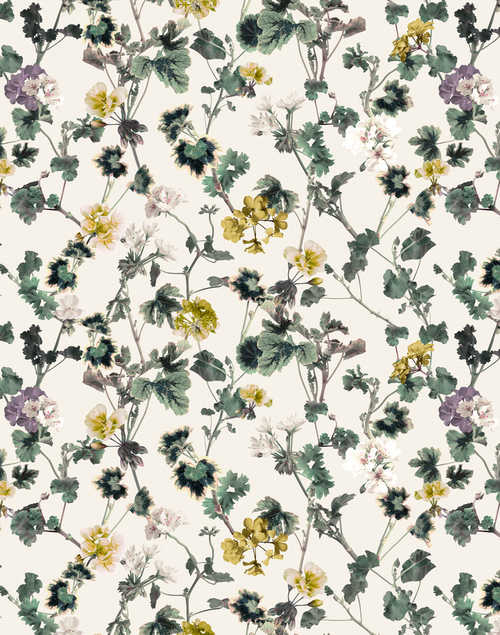 Geranium, Golden